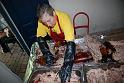 pigroast_2010_029