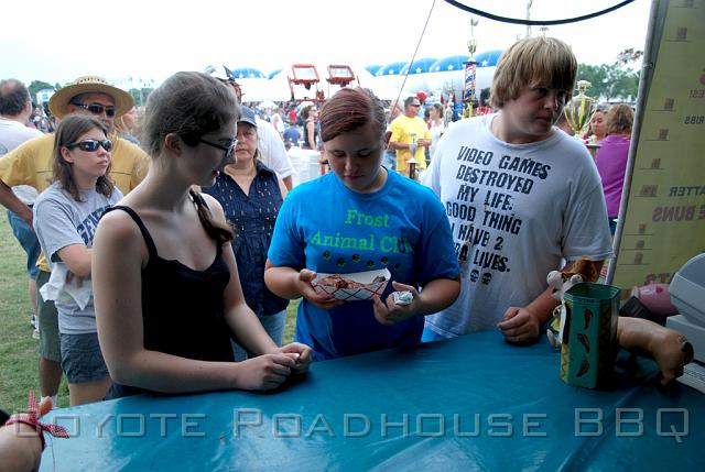 2010_ribfest_076.jpg